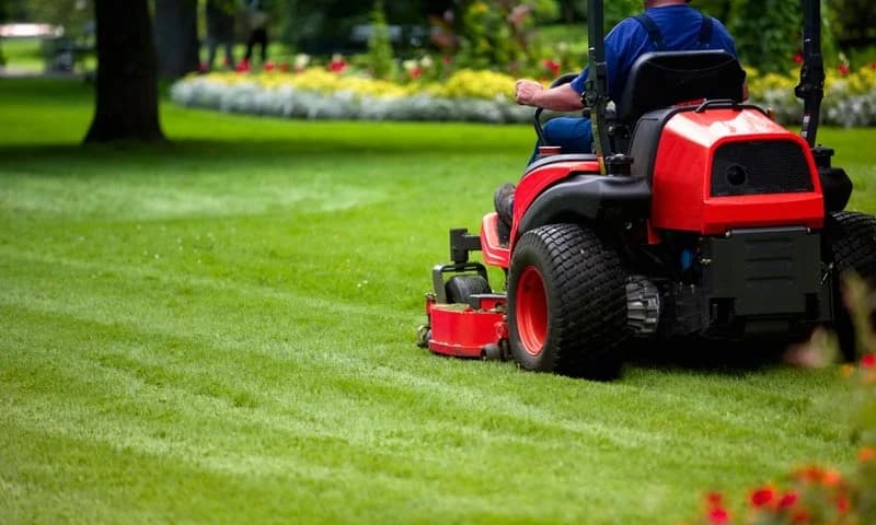 Lawn mowing placeholder