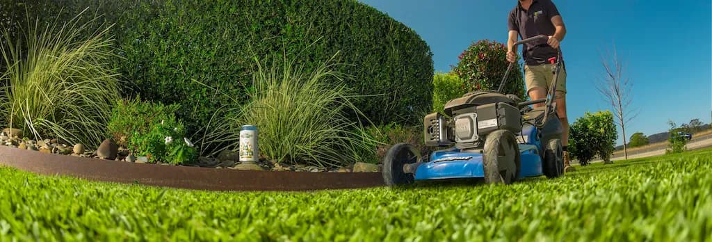 Local Bendigo lawn care team